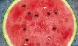 吃瓜专用神器视频,带你领略网络热点的魅力瞬间