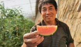 商河县吃瓜,品味夏日甜蜜时光