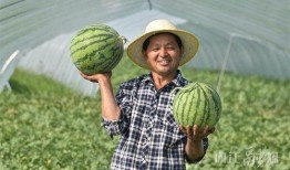 北枫视角吃瓜,揭秘娱乐圈那些鲜为人知的瓜料