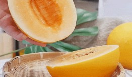 吃黄色蜜瓜,甜蜜滋味尽享一夏