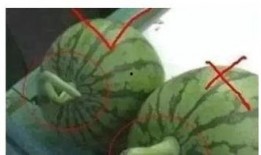 盲人吃瓜技巧是什么,盲人吃瓜的独门技巧揭秘