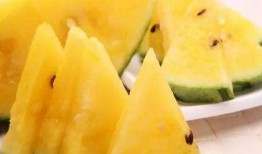 吃瓜集合社?中国,中国网络社交新现象深度解析