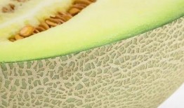 帝师吃蜜瓜,传承皇家美食文化