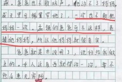 小学作文吃瓜,一场别开生面的“吃瓜”之旅