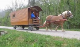 林肯吃瓜群众视频,揭秘总统的休闲时光