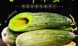 吃羊角瓜蜜瓜长肉吗,美味与增重两不误？