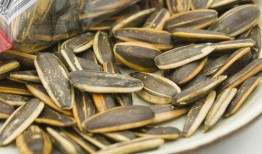 吃瓜图吃瓜子,吃瓜图中的瓜子时光