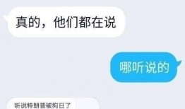 内娱的人吃瓜,揭秘娱乐圈的甜蜜与苦涩