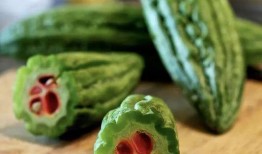 吃瓜王小曼,揭秘娱乐圈背后的那些事儿