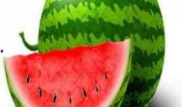 吃丑瓜会发胖吗,吃丑瓜真的会让人发胖吗？揭秘真相