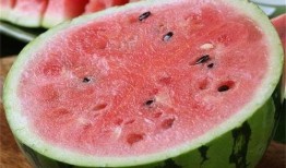 麒麟瓜剪枝留瓜多久可以吃,美味成熟时间揭秘