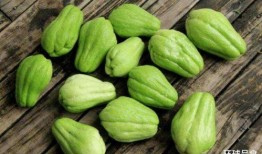 佛手瓜怎么吃炒,烹饪技巧大揭秘