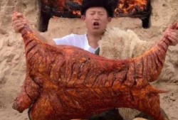 茸主吃瓜,揭秘娱乐圈幕后故事