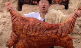 茸主吃瓜,揭秘娱乐圈幕后故事