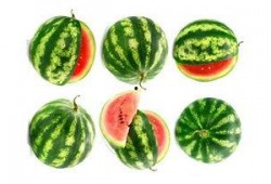 吃瓜小葵,揭秘娱乐圈那些不为人知的幕后故事