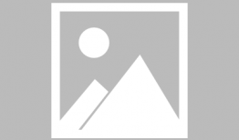 秘密吃瓜网站,揭秘“秘密吃瓜”网站背后的真相