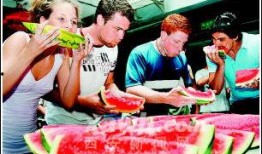 破产姐弟比赛吃瓜,破产姐弟上演吃瓜大赛