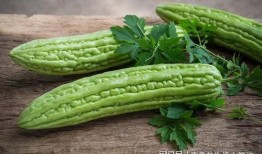 尿酸高可以吃凉瓜么