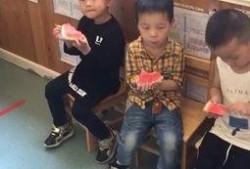 群众吃瓜群主播,揭秘直播界热门主播背后的故事