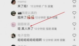 聊天吃瓜记录截图,一场吃瓜盛宴背后的故事