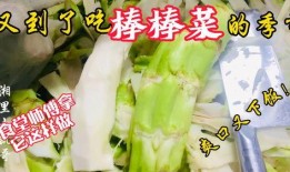 三水老师吃瓜,揭秘校园八卦背后的真相