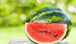 吃各种水果瓜视频,跟随视频探索各种美味瓜果之旅