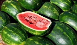 什么是吃瓜素材,揭秘幕后真相与娱乐效应