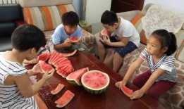 物业组织吃瓜比赛,吃瓜大赛趣味盎然