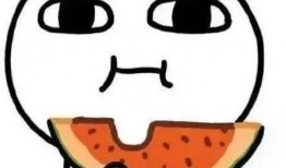 吃瓜补贴,吃瓜补贴助力乡村振兴