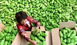 沂源县吃瓜,探寻沂源特色美食之旅