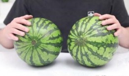 广东沙瓜怎么吃,解锁夏日清新美味