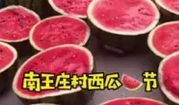 保定的吃瓜群众,吃瓜群众的热议焦点